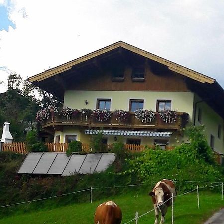 Landhaus Katharina ビショフスホーフェン エクステリア 写真