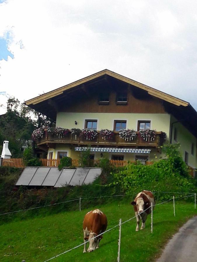 Landhaus Katharina ビショフスホーフェン エクステリア 写真